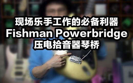 同时拥有电吉他与木吉他的音色？Fishman Powerbridge压电拾音器琴桥！