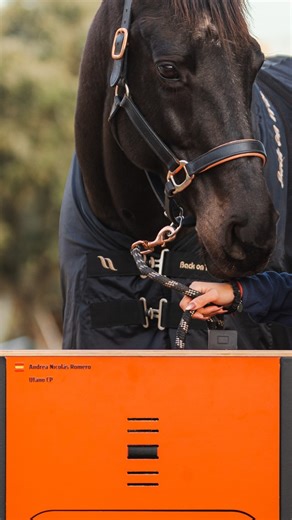 Yurt Store on Instagram: "🎅🏻 Queremos agradecer a todos y a todas las/los que habéis colaborado y ayudado a seguir impulsando este gran proyecto y sobre todo, por vuestra confianza y apoyo 🙏🏻☺️ 🥰¡Estamos súper agradecidos de poder contar con el apoyo de una comunidad tan chula como todos y todas vosotras que siempre estáis regalándonos algún like y dejándonos mensajes y comentarios! 💙 ¡Felices fiestas! ✨ Y en especial, gracias a todas las protagonistas de nuestro vídeo que habéis participa