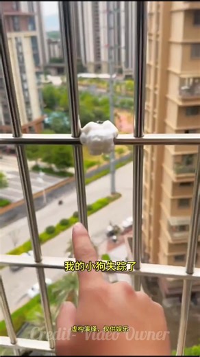 चिंटू धूप में रहकर पिघल गया ll Carriage House wooden artist ll #cartoon #shortvideo