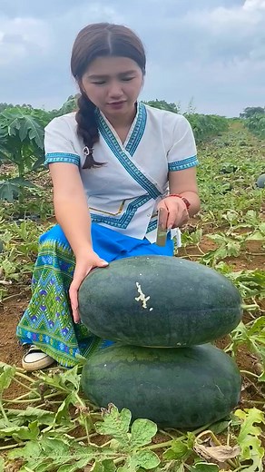 598 _#pitayafruit #pitaya #dragonfruit #smoothie #fruit #healthylifestyle #dragonfruitfarm #pitayafarm #organic #frutasexoticas #pitayagoldenyellow #lifestyle #farm | The Pitaya