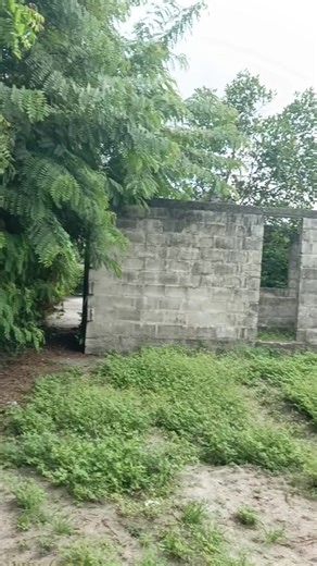 KIWANJA KINAUZWA LOCATION KIVULE HOSPITAL YA WILAYA BEI TSH MILION 13 UKUBWA WA KIWANJA MITER 20/20, SQM 400 KIWANJA KINA JENGO CONT 0712008241 0759848811 0712332135 SERVICE CHARGE 20000