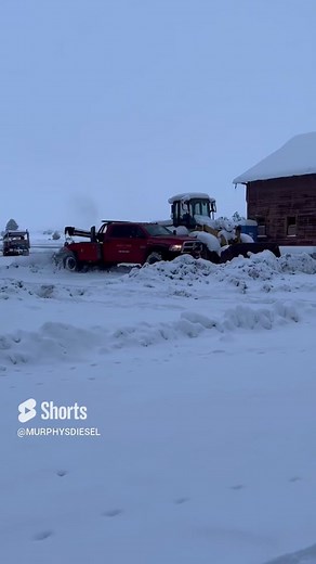 Murphys Diesel on TikTok