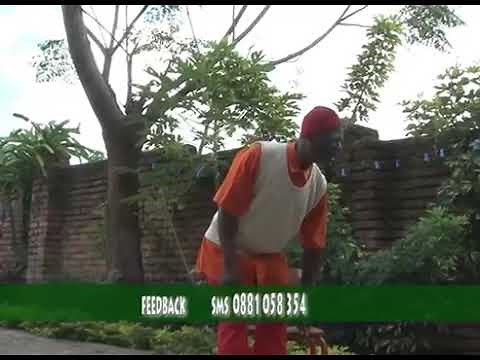 Tikuferanji|Winiko Malawian Comedy #comedyvideo #malawian #comedy #africancomedy #fyp #manga #africa