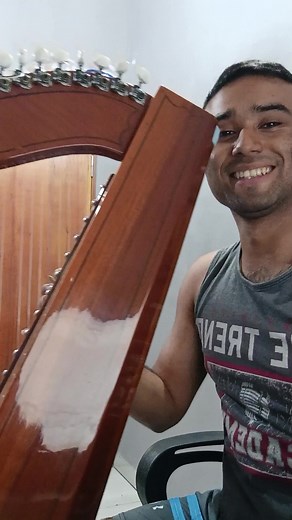 Mis Noches Sin Ti - Música Paraguaya con Arpa