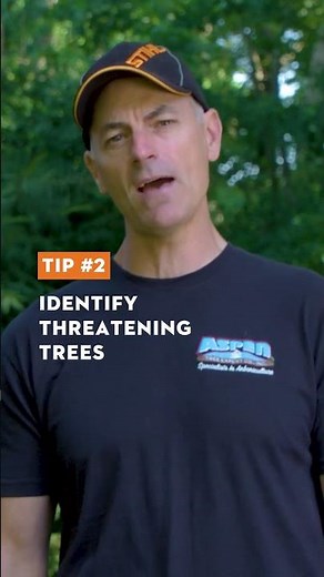 Mark Chisholm's Tips for Post-Storm Tree Care​