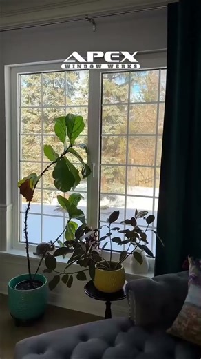 Window Repair Showcase: Restoring Integrity On-Site