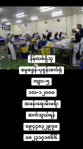 Mya Suအလုပ်ကိုင်ရှာဖွေရေး บน TikTok