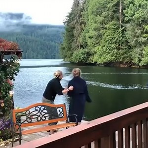 40M views · 1.6M reactions |  Humpback whales made a majestic appearance right in front of a lodge in Canada. It's a breathtaking experience to witness these magnificent creatures up close and personal.  ⠀⠀ ⠀⠀ #HumpbackWhales #NatureEncounter #LodgeLife #CanadaWildlife #UnforgettableExperience | Grays Harbor Historical Seaport | Facebook