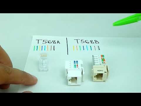 RJ45 male vs RJ45 female - The T568A and T568B color standard