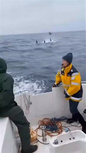 @5.amerika on Instagram: "1997년 개봉한 영화 Titanic은 잭과 로즈의 운명적인 사랑을 통해 비극 속에서도 오래 남는 감정의 깊이를 보여주는 작품입니다. 화려한 연출보다 인물의 감정에 더 집중한 제임스 카메론 감독의 스타일은 지금 다시 봐도 묘하게 가슴을 울리죠. 배가 침몰하는 장면이 아닌, 두 사람이 서로를 바라보던 순간들이 더 강하게 기억에 남는 영화이기도 합니다. 이 감정을 완성해주는 곡이 바로 셀린 디온의 *“My Heart Will Go On”*입니다. 처음 들으면 잔잔한데, 어느 순간 자연스럽게 가슴이 벅차오르는 느낌을 줍니다. 특히 후반부의 고조되는 보컬은 영화 속 잭과 로즈의 마지막 장면과 겹쳐지면서 괜히 마음이 서늘해지기도 하고요. 많은 분들이 “이 노래가 나오면 왜 그 장면이 자동으로 떠오르는지 모르겠다”고 말하는데, 그만큼 영화와 음악이 자연스럽게 얽혀 있는 곡입니다. 1998년 아카데미 주제가상을 비롯해 여러 상을 휩쓴 건 단지 인기