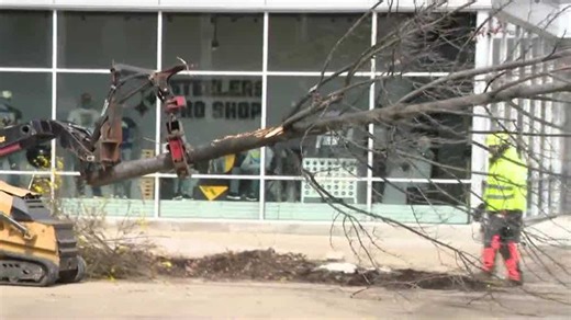 'Down to the stump:' Trees removed outside Acrisure Stadium for NFL Draft