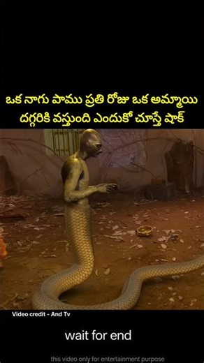 ⚡⚡💥Most Interesting amazing facts Telugu|51⚡💥⚡#telugu#viral#trending #shorts#ytshorts#short
