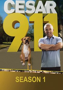 Cesar 911 Season 1 - watch full episodes streaming online