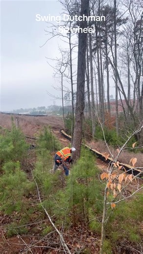 Falling timber using a swinging Dutchman and sizwheel #husqvarna372xp @Papa monk @ACEWon