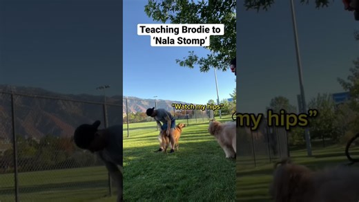 The most important trick you must teach your dog! @AdventuringWithNala #dogtraining #tutorial