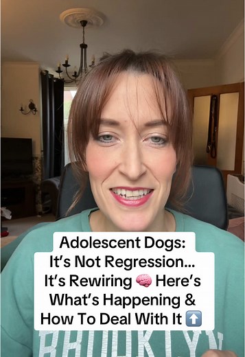 Navigating Your Adolescent Dog's Behavior Changes