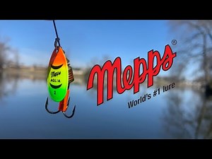 Mepps Spinner Fishing! (Bass Feeding Frenzy)