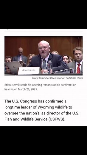 Chris Morgan on Reels