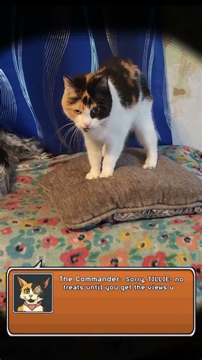 Calico Withholds Treats