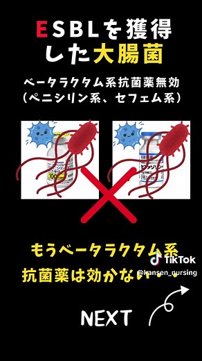 感染症のESBLについて学ぼう！