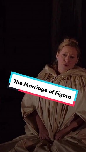 Beautiful Mozart Opera Performance