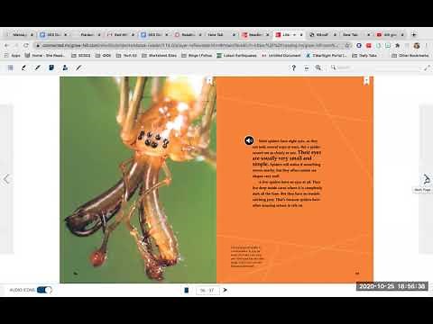 Wonders U2 W2 spiders