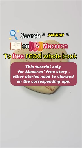 Macaron’s free story tutorial