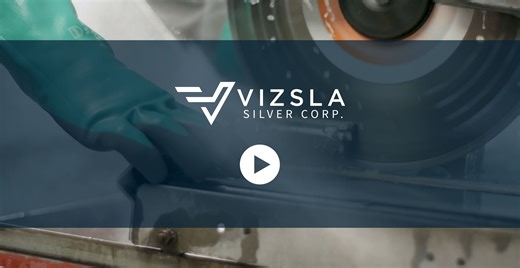 Vizsla Silver: Advancing High-Grade Silver in Mexico