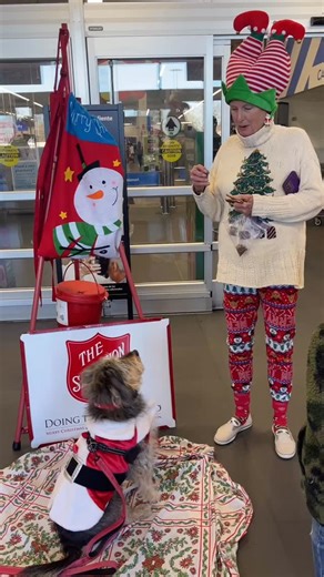 Ceil and her dog Greta out there ringing the bell, doing fun tricks, and turning smiles into donations for The Salvation Army 🔔🐾 Proof that heart, hustle, and one very good dog can make a real difference | Pooch Pontoon