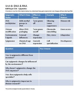 Biology Bell Ringer 8.5B – Epigenetics | Low-Prep Biology Activity