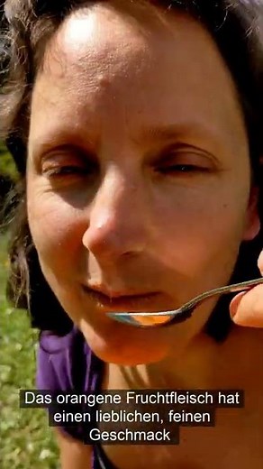 Wie isst man eine Papaya