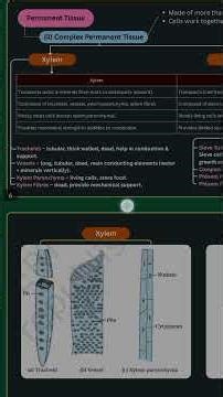 Freefull notes for class 9th Science chapter tissue #prashantkiradsir