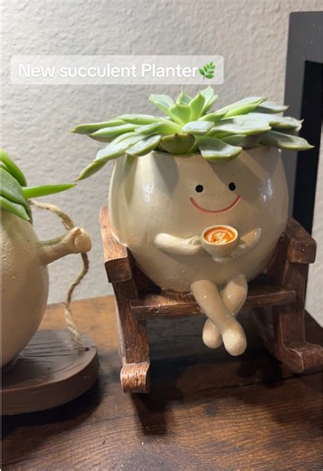 Cute Succulent Planters for Your Indoor Garden