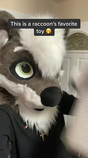 Furry Raccoon Gets Hilariously Creative with a Cheese Grater