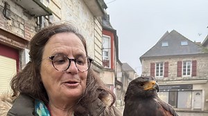 "Dès que je le lâche, c’est panique à bord chez les pigeons " : l’impressionnant spectacle de la fauconnière et de sa buse en pleine ville