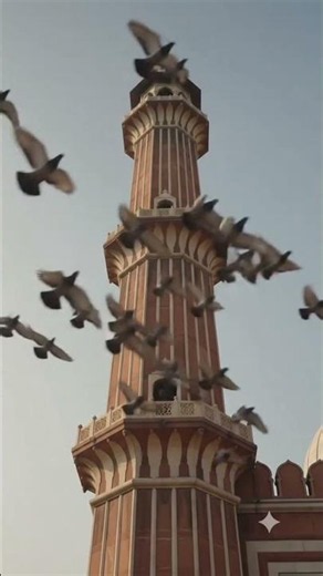 Jama Masjid History | Who Built India's Largest Mosque?
