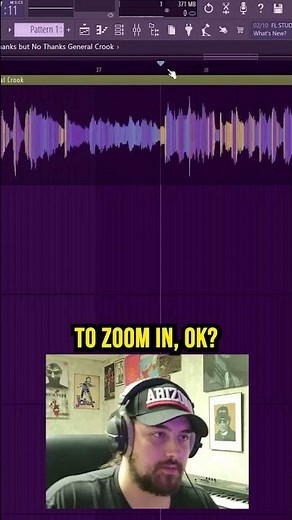 Resizing & Coloring Waveforms in FL Studio (Sampling Tips)