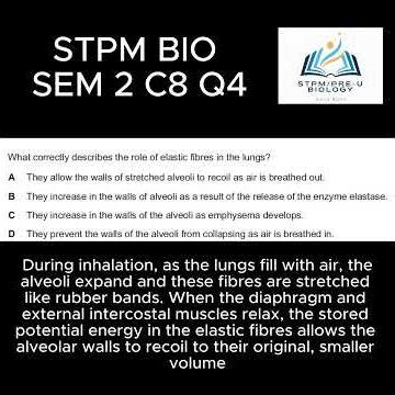 F6 BIOLOGY SEM 2 CHP 8 Q4 #stpmbiology #stpm ##biology #education #science #form6 #alevelbiology