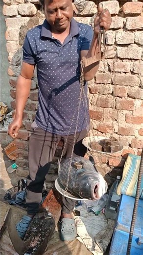 Village Market Treasure 🐟5.3kg Big Katla Fish at ₹330/kg#fish #villagemarket #fishcutting