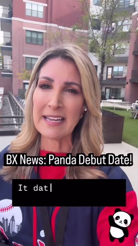 Breaking news: Atlanta's panda public debut date announced