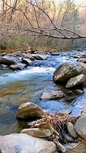 #Appalachia #AppalachianMountains #AppalachianLife #VisitAppalachia #ExploreAppalachia #AppalachianViews #MountainVibes #BlueRidgeMountains #SmokyMountains #WildAndWonderful #MountainMagic #NatureInAppalachia #AppalachianCulture #AppalachianHeritage #AppalachianTradition #HillbillyElegance #MountainFolk #OldTimeAppalachia #AppalachianMusic #BluegrassRoots #FolkTraditions #MountainMusic #ReclaimAppalachia #AppalachianVoices #ProtectAppalachia #bluegrass #ralpstanley | Tammy Peden