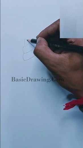 Seashell Drawing Step by Step Tutorial Guide