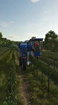 2k25 realistic gameplay grapes 🍇 harvesting #gaminghub #farming #shorts