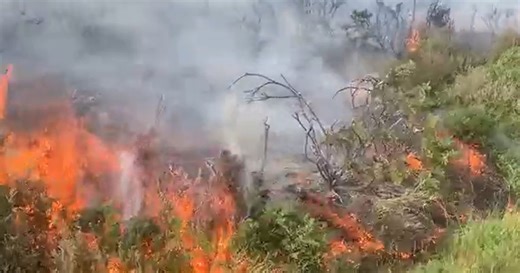 Live fire updates as video shows large blaze
