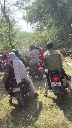 from CAMP CRETACEOUS. Meet Bumpy and her Ankylosaurus herd, or #jurassiczoo #dinopark