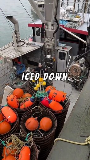 Day 1: Set sail with us and see the process of how we prepare to catch Alaskan Black Cods to your plates! Follow our daily journey as a commercial fisherman 🐟⚓️ #AlaskanSalmonCompany #Seafood #Fishing #CommercialFishing #Fishermen #FishermanDailyLife | Alaskan Salmon Company