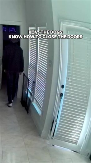 Close the door Remi 😂 | Roxy and Remi