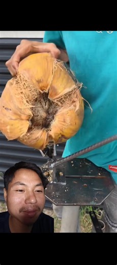 ເຄື່ອງປອກໝາກຟ້າວ #เครื่องปอกมะพร้าวพี่น้อง