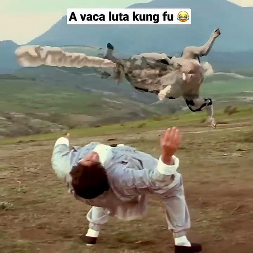 A VACA LUTA KUNG FU 2 #shorts