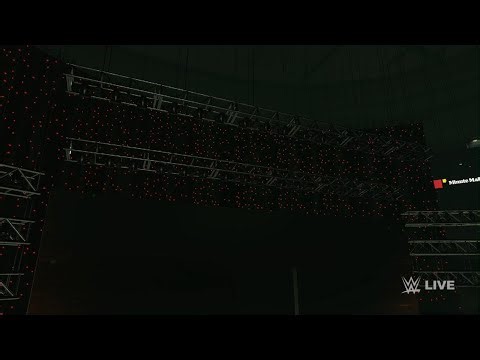 Roman Reigns & Sheamus vs Kane & Stone Cold | WWE 2K25 Gameplay